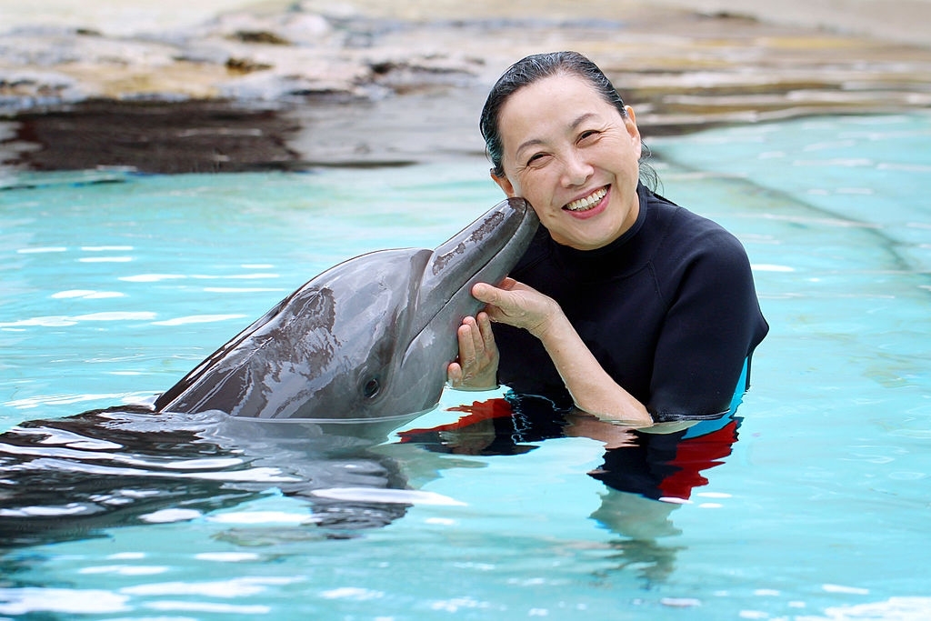 Panama City Beach Dolphin Tours